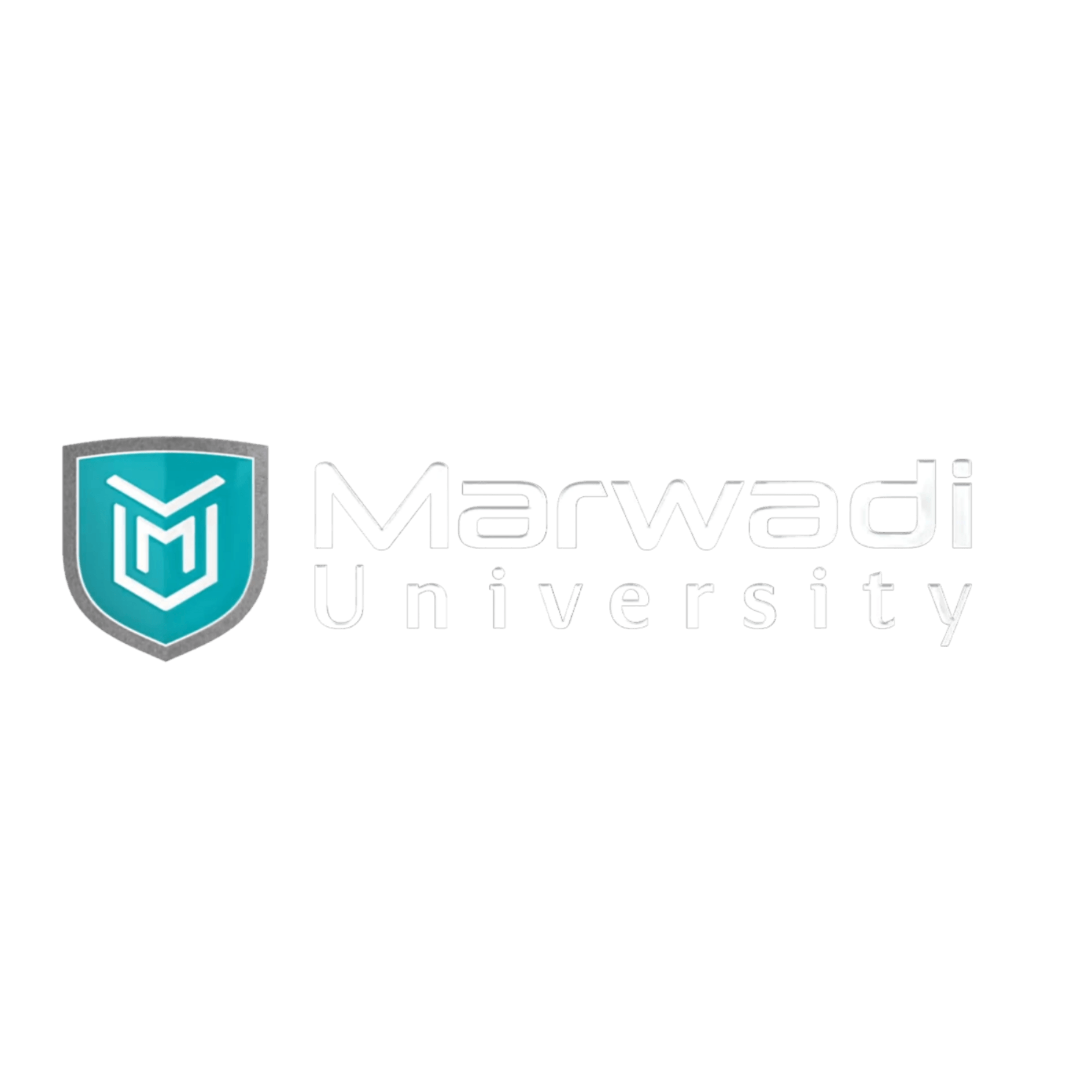Marwadi University